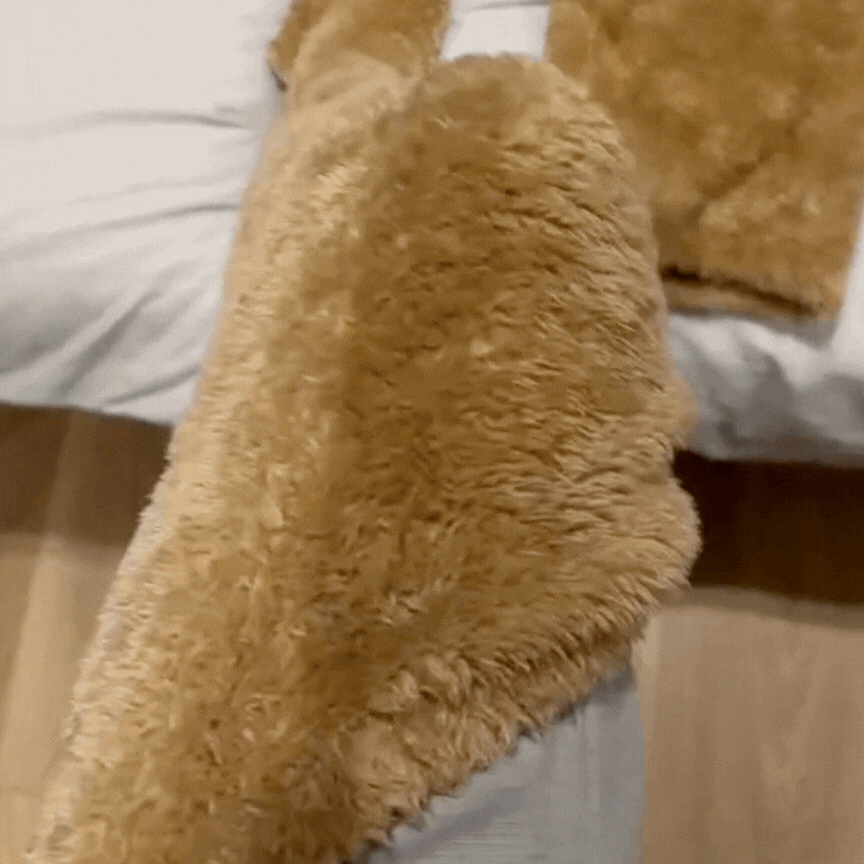 Furry Plushie socks🧦